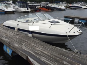 IMG 0335