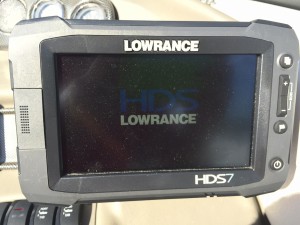 IMG 0347