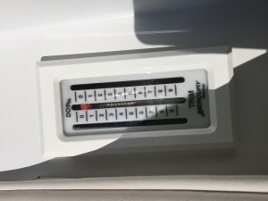 IMG 0350 (1)