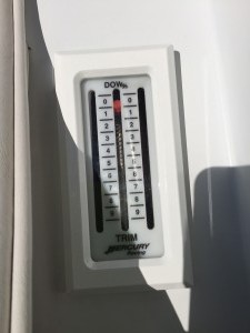 IMG 0350