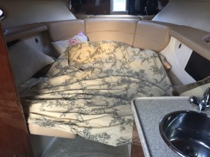 IMG 0545