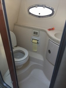 IMG 0546
